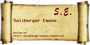 Salzberger Emese névjegykártya