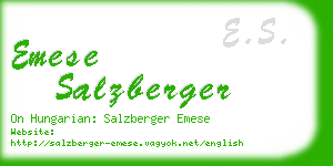 emese salzberger business card